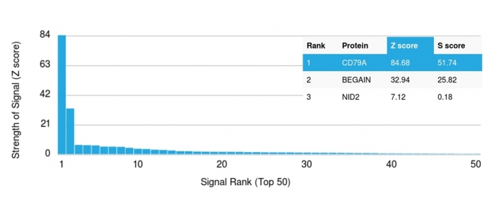 AE00109 on protein array